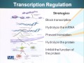 BIO734 Advances in Cell Biology Lecture No 37