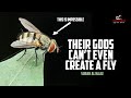 WHAT THEY WORSHIP COULD NEVER CREATE A FLY