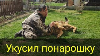 Борьба хозяина и собаки. Кто кого? Борьба хозяина и собаки. Кто кого?