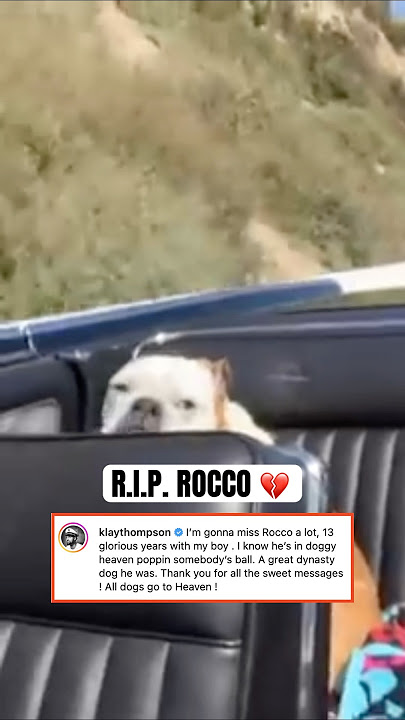 Klay’s message after the passing of his dog, Rocco 🙏
