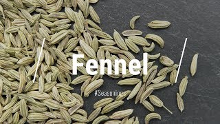 🔵 All About Fennel Seeds