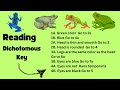 Mastering Dichotomous Keys Through Monster Identification