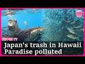 Japan's trash is washing up in Hawaii: Inside Hawaii's hidden garbage problem