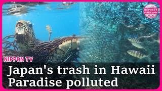 Japan's trash is washing up in Hawaii: Inside Hawaii's hidden garbage problem