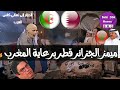 ميمز الجزائر قطر Memes Algerie Qatar 