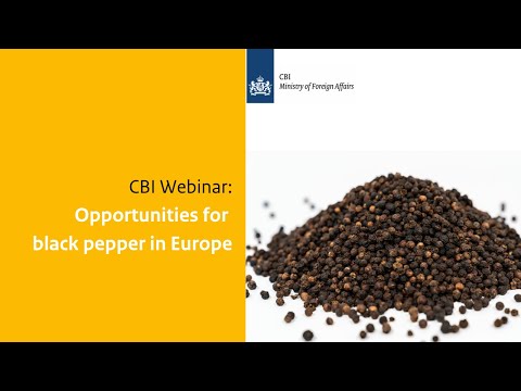 CBI Webinar: Opportunities