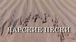 Чарские Пески. Природа, Забайкальский Край / Charsky Sands. Nature, Trans-Baikal Territory