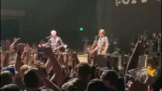 Offspring 'The Opioid Diaries'