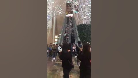 At least 17 hurt as Hong Kong escalator suddenly stops