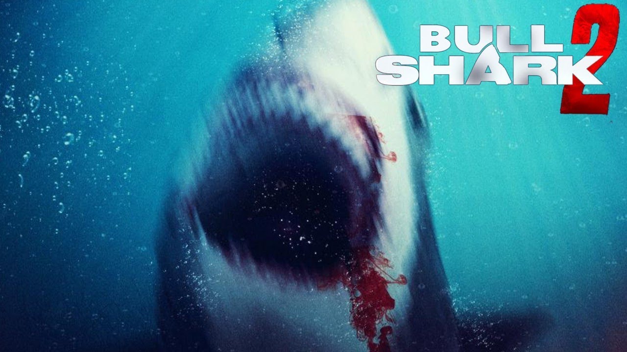 Bull Shark 2 2024 Horror Film | Review