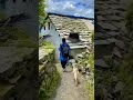 Little girl walks to school as goat follows her in adorable viral video