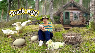 Full video: 90 days harvesting Duck egg, Red banana Goes To Market Sell - Feed the dog, Daily Life