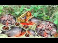 Rupchand fish recipe curry apne desi anjaneme rupchand fish curry recipe banate  village my style