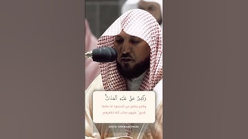 ألم تر أن الله يسجد له من في السماوات والأرض  - تلاوة من سورة الحج - الشيخ د.ماهر المعيقلي