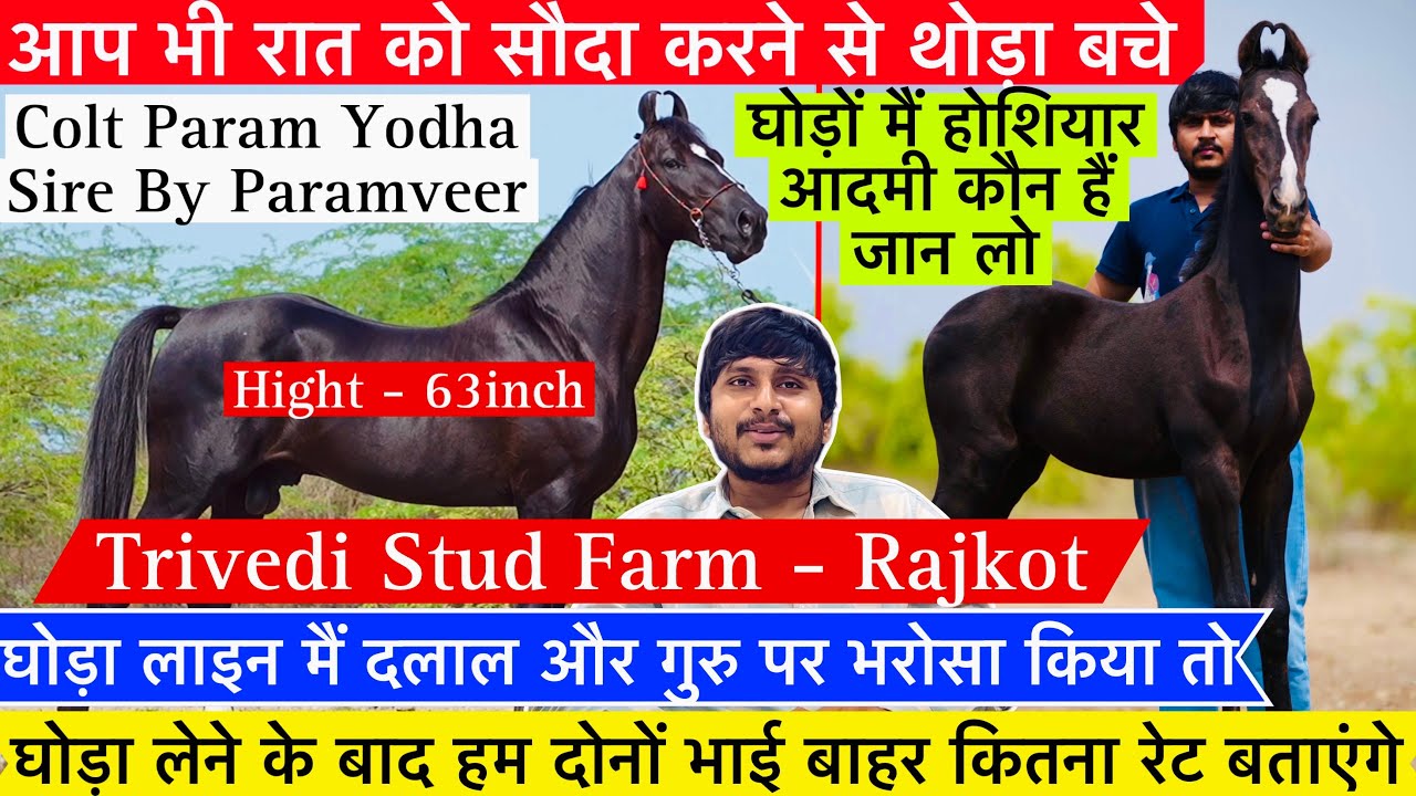 परमवीर घोड़े का बच्चा परम योद्धा क्यों बोला कि घोड़ा बेचते ही सोने से चांदी कैसे हो जाता हैं !