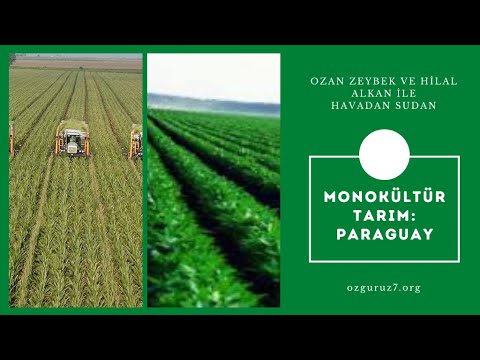Video: Tarımda monokültür nedir?
