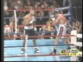 Roy Jones Junior vs Clinton Woods - Full Fight