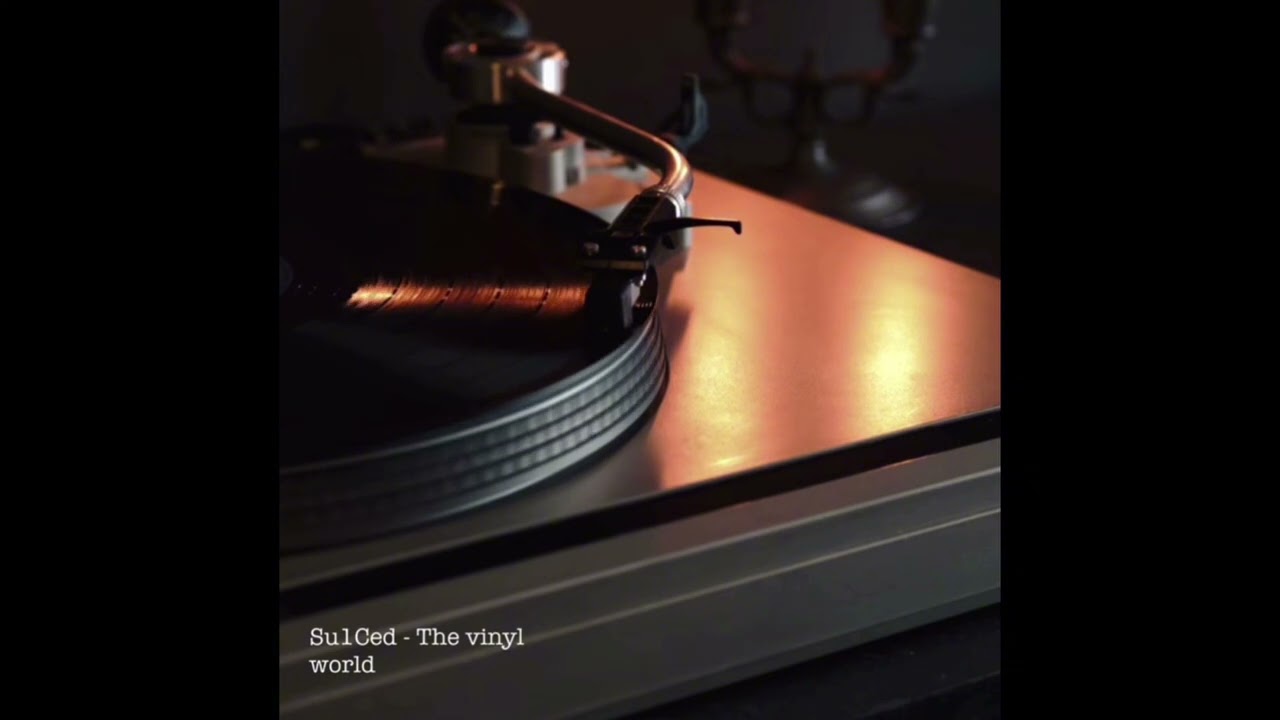 Su1Ced - The vinyl world (mini album)