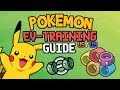 EV-Training GUIDE 🕹️ Pokémon UltraSonne & UltraMond