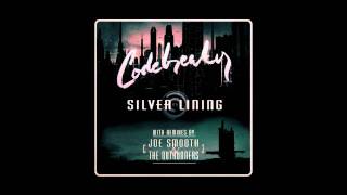 Codebreaker - Silver Lining