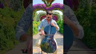 Shape of my heart - HAUSER cello Cover