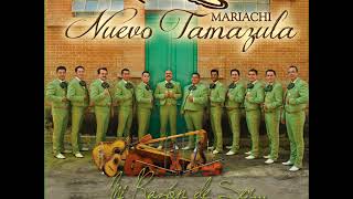 Mariachi Nuevo Tamazula9Cd Completo