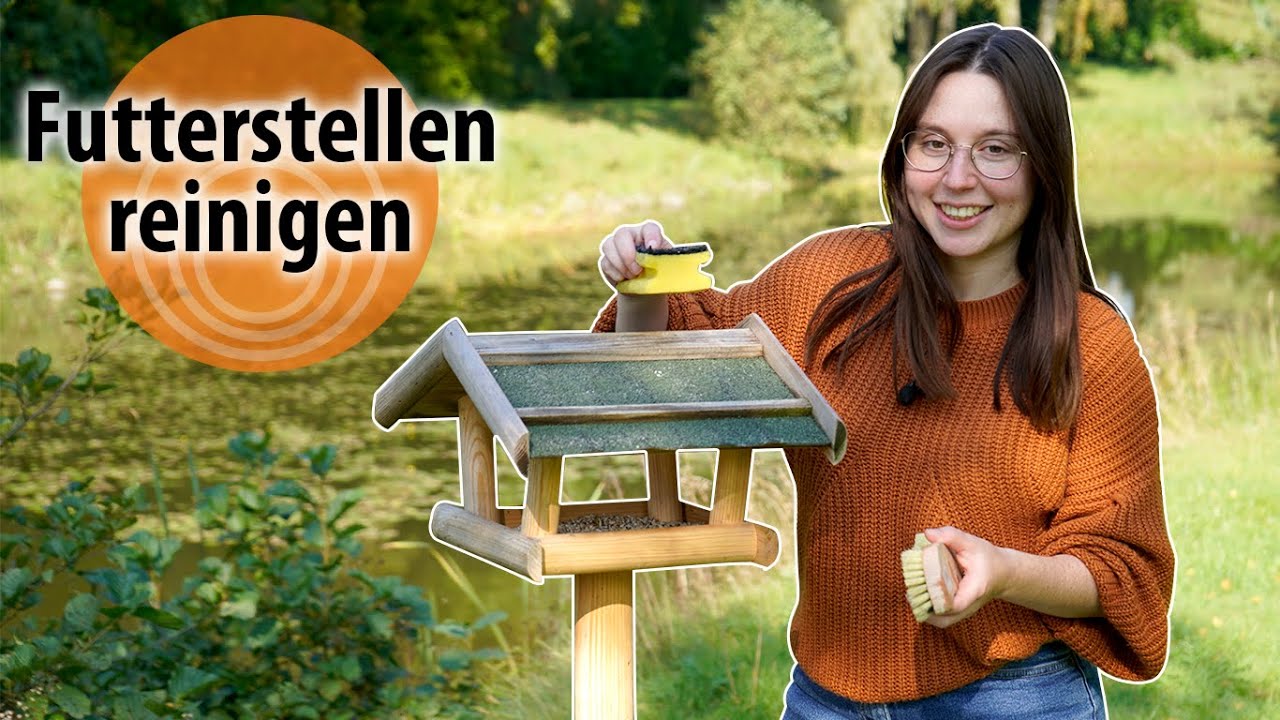 RSPB Premium Vogelfutterstation – Leicht Zu Reinigen, Ca. 38 Cm, UV-stabil