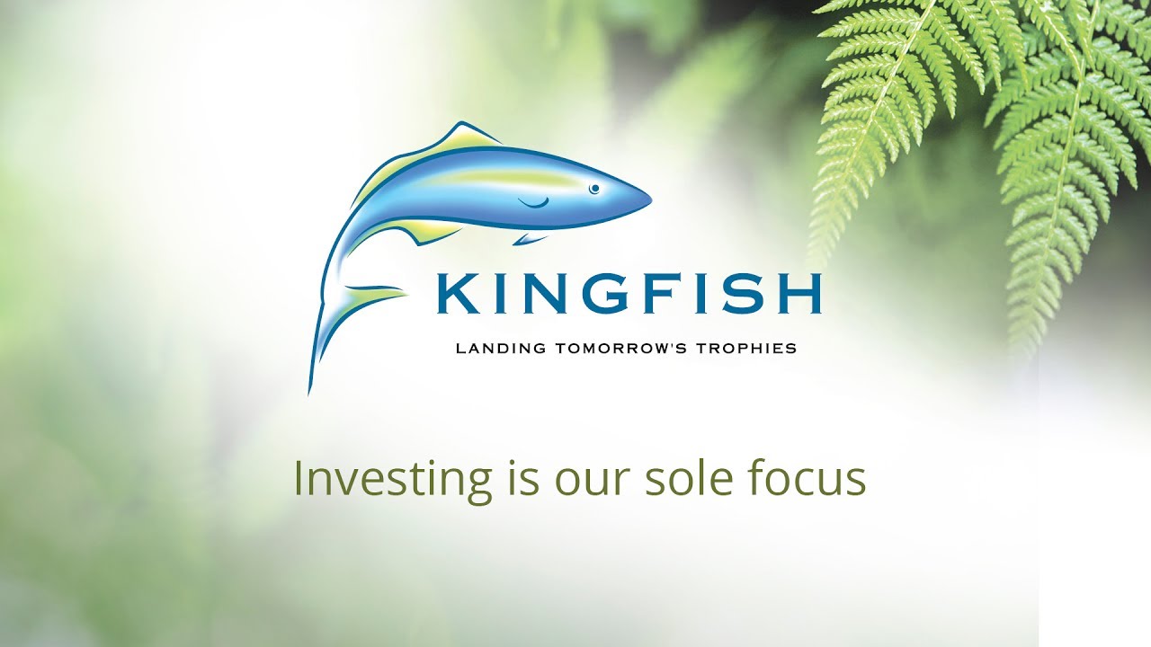 Image result for Kingfish Limited