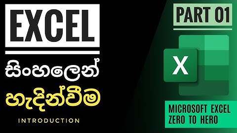 Excel Everything Part 01 | Zero To Hero Sinhala