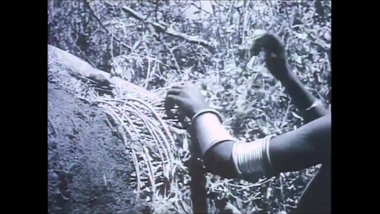 AFRICA A Voyage of Discovery in HD The Magnificent African Cake Episode