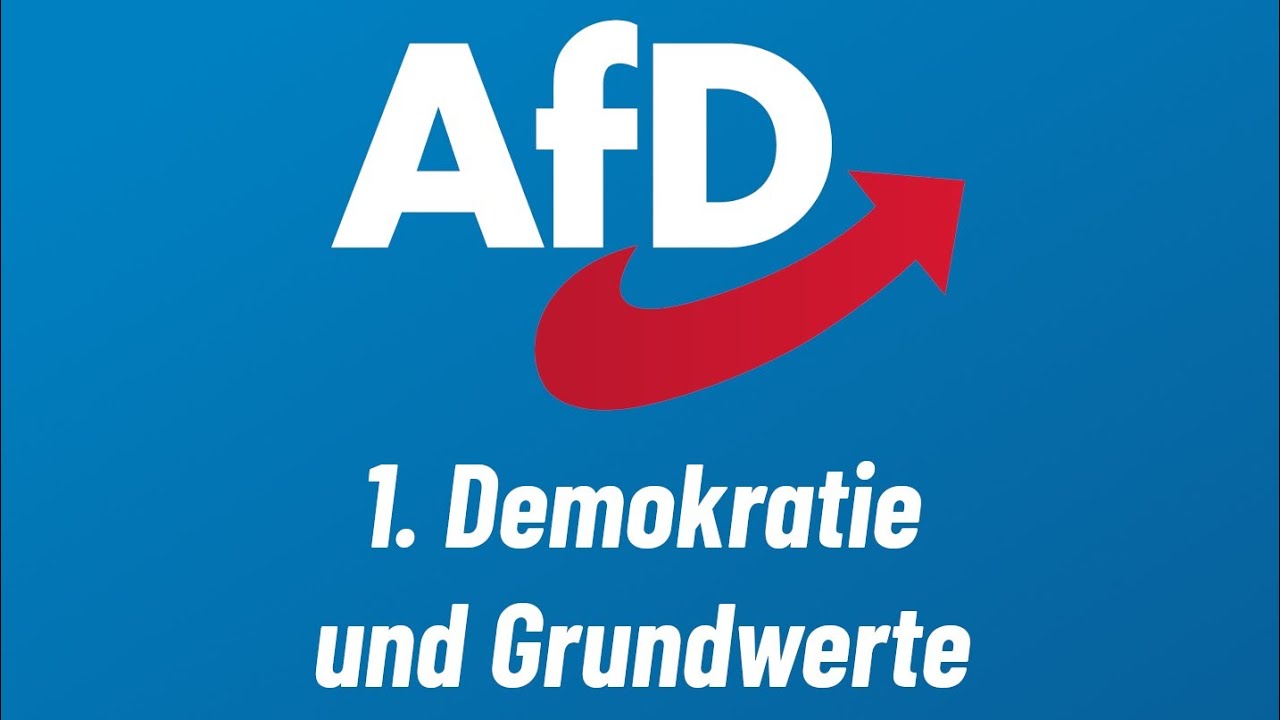 Grundsatzprogramm AfD. Demokratie und Grundwerte.