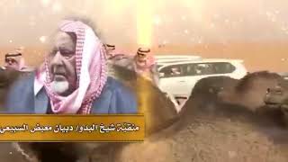 منقية شيخ البدو / دبيان بن معيض السبيعي  كلمات الشاعر / سعود الكرشمي