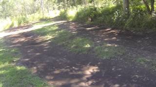 Phantom 400 modified track run