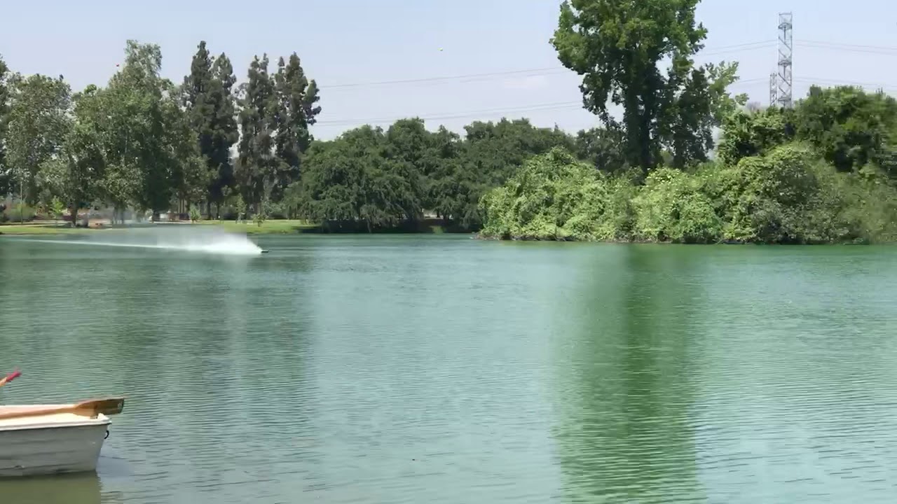 Oxidean marine animal cat 108 mph pass rc boat