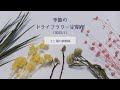 ［お花のサブスク］▼2022/01｜今月のドライフラワーが届きました