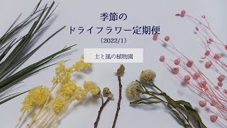 ［お花のサブスク］▼2022/01｜今月のドライフラワーが届きました