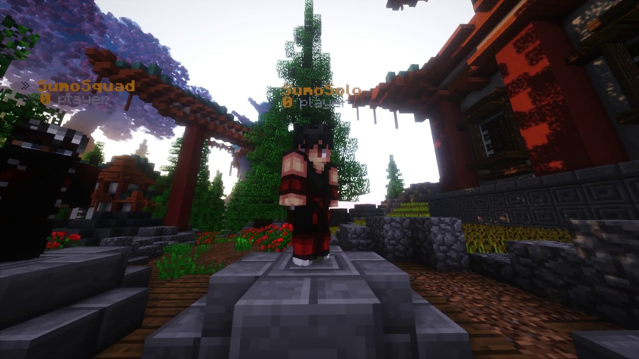 Veranity - SUMO Gamemode Erklärung