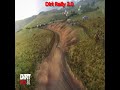 Dirt Rally 2