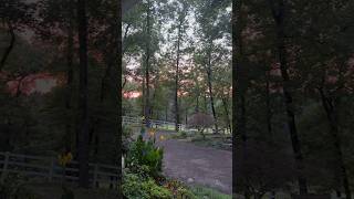 The evening view from the front porch never disappoints.