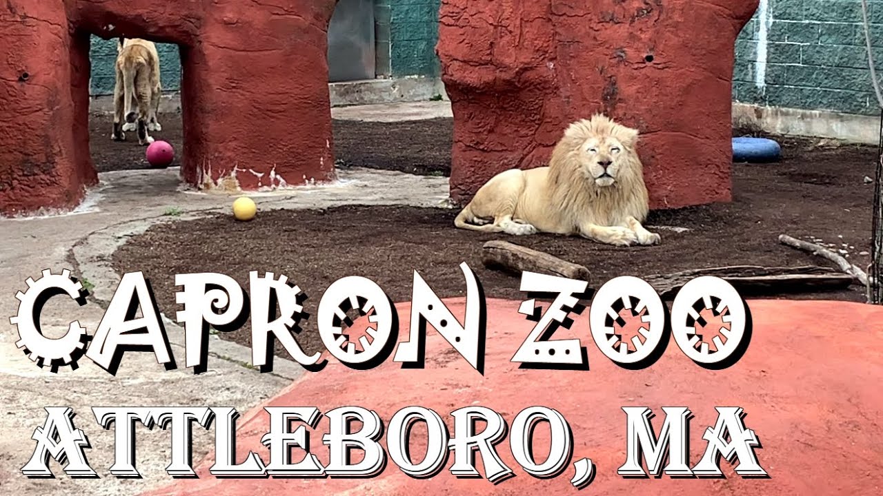 Capron Park Zoo, Attleboro MA