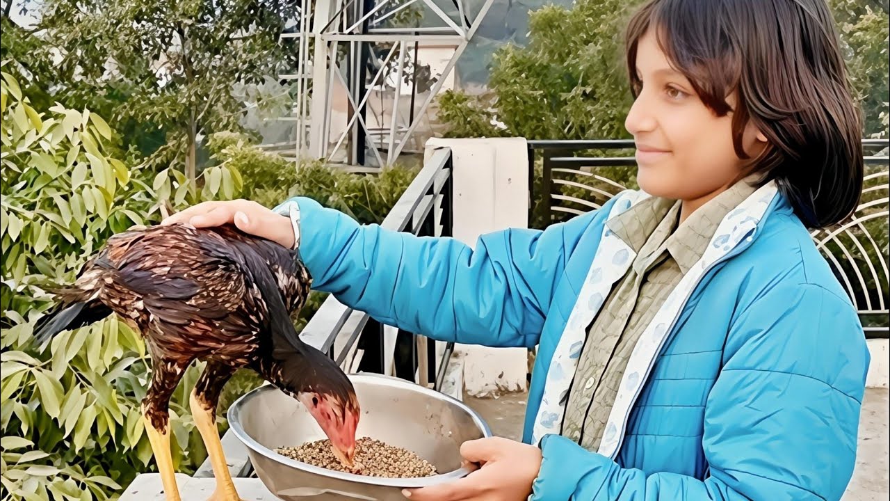 पशु पक्षी Nature को जीवंत बनाए रखते हैं।                                   