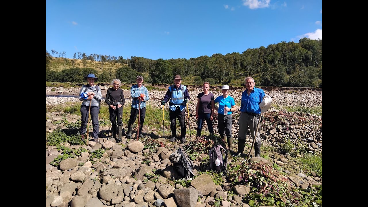 Native North Tyne Volunteering