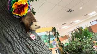 Video Tour Of The Crabtree Nature Center Building in Barrington, IL