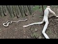 The Most Disturbing Creatures Ever Caught on Trail Cam