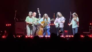 Celebrity Billy Strings - Tennessee - Enmarket Arena Savannah 4/11/25 Profile