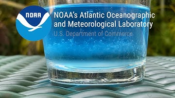 Exploring Environmental DNA: At Home DNA Extraction Demonstration