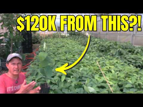 Quit Your Job? How One Man Makes $120k/Year on a 1/3 Acre Farm
