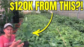 How He Makes $120k/Year on 1/3 Acre: Zone 6 Permaculture Farm Tour
