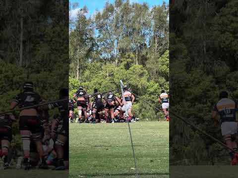 #FirstGrade #rugby : #WestHarbour v #Brumbies - third #scrum and try 🏉 #sydneyrugby #shorts #sports