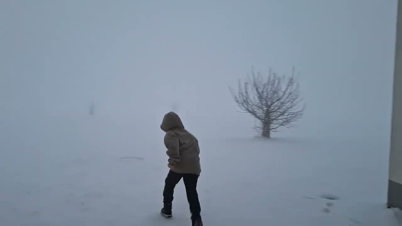 20 de fevereiro de 2026